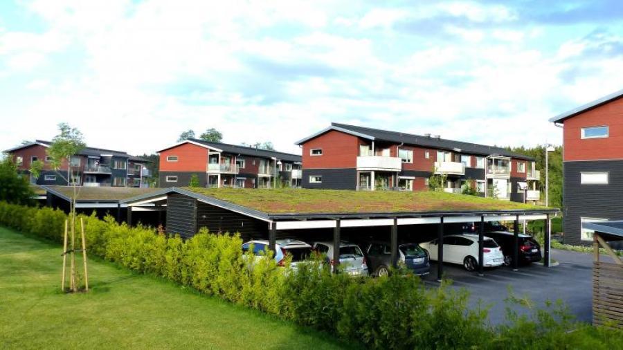 Sedumtak på carport